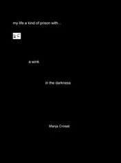 Omslag van A wink in the darkness