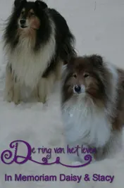 Omslag van De ring van het leven