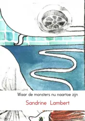 Omslag van Waar de monsters nu naartoe zijn