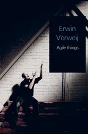 Omslag van Agile things