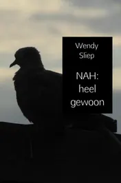 Omslag van NAH: heel gewoon