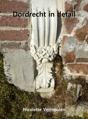 Omslag van Dordrecht in detail