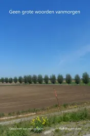 Omslag van Geen grote woorden vanmorgen