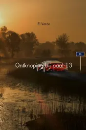 Omslag van Ontknoping bij paal 13