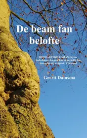 Omslag van De beam fan belofte