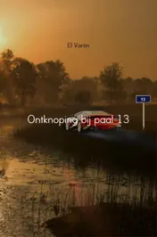 Omslag van Ontknoping bij paal 13