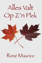 Omslag van Alles valt op z'n plek