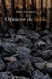 Omslag van Opnieuw de liefde