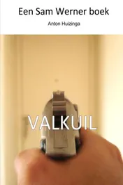 Omslag van Valkuil