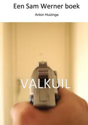 Omslag van Valkuil