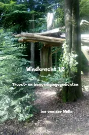 Omslag van Windkracht 12