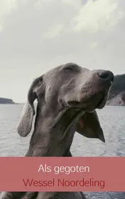 Omslag van Als gegoten