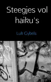 Omslag van Steegjes vol haiku's