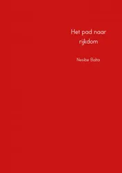 Omslag van Het pad naar rijkdom