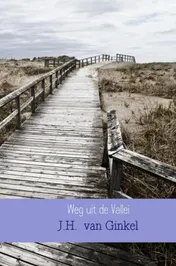 Omslag van Weg uit de Vallei