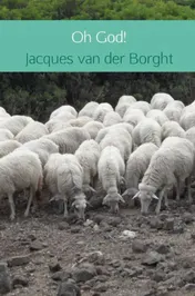 Omslag van Oh God!