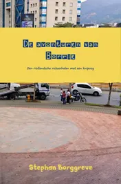 Omslag van De avonturen van Borrie