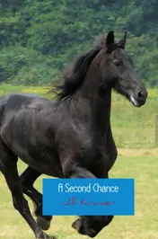 Omslag van A Second Chance