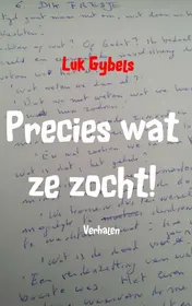 Omslag van Precies wat ze zocht!