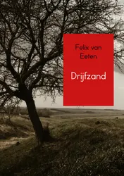 Omslag van Drijfzand