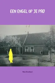 Omslag van Een engel op je pad