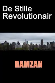 Omslag van De Stille Revolutionair