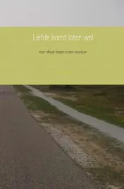Omslag van Liefde komt later wel