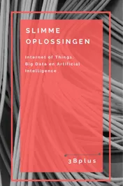 Omslag van Slimme oplossingen