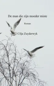 Omslag van De man die zijn moeder miste