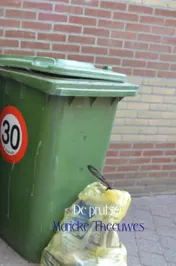 Omslag van De prutser