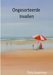 Omslag van Ongesorteerde invallen