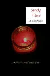 Omslag van De ondergang