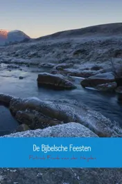 Omslag van De Bijbelsche Feesten