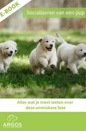 Omslag van Socialiseren van een pup