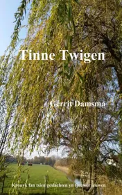 Omslag van Tinne Twigen