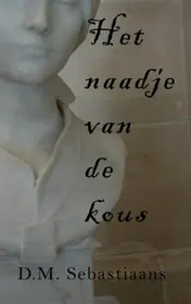 Omslag van Het naadje van de kous