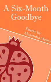 Omslag van A Six-Month Goodbye