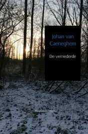 Omslag van De vernederde