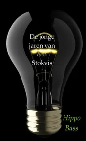 Omslag van De jonge jaren van een Stokvis