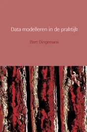 Omslag van Data modelleren in de praktijk