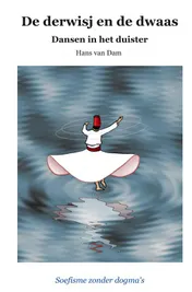Omslag van De derwisj en de dwaas – Dansen in het duister