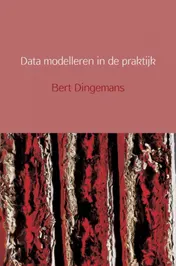 Omslag van Data modelleren in de praktijk