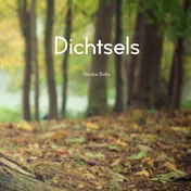Omslag van Dichtsels