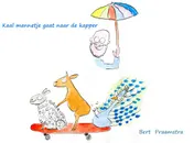 Omslag van Kaal mannetje gaat naar de kapper