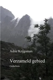 Omslag van Verzameld gebied