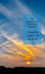 Omslag van Gouden ladders in de lucht