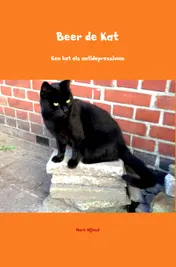 Omslag van Beer de Kat