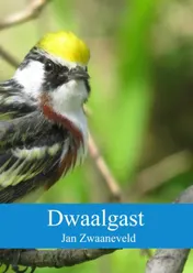 Omslag van Dwaalgast