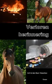 Omslag van Verloren herinnering