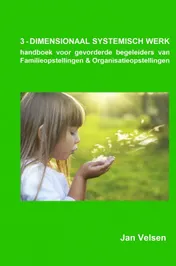 Omslag van 3 - DIMENSIONAAL SYSTEMISCH WERK